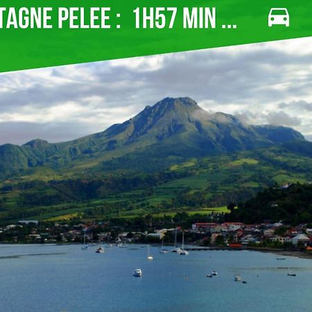 La Villa Noemie - Parking - Proche Des Plages Sainte-Anne Eksteriør billede