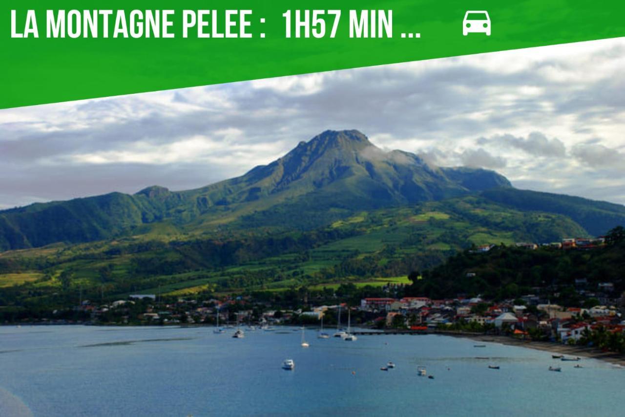 La Villa Noemie - Parking - Proche Des Plages Sainte-Anne Eksteriør billede